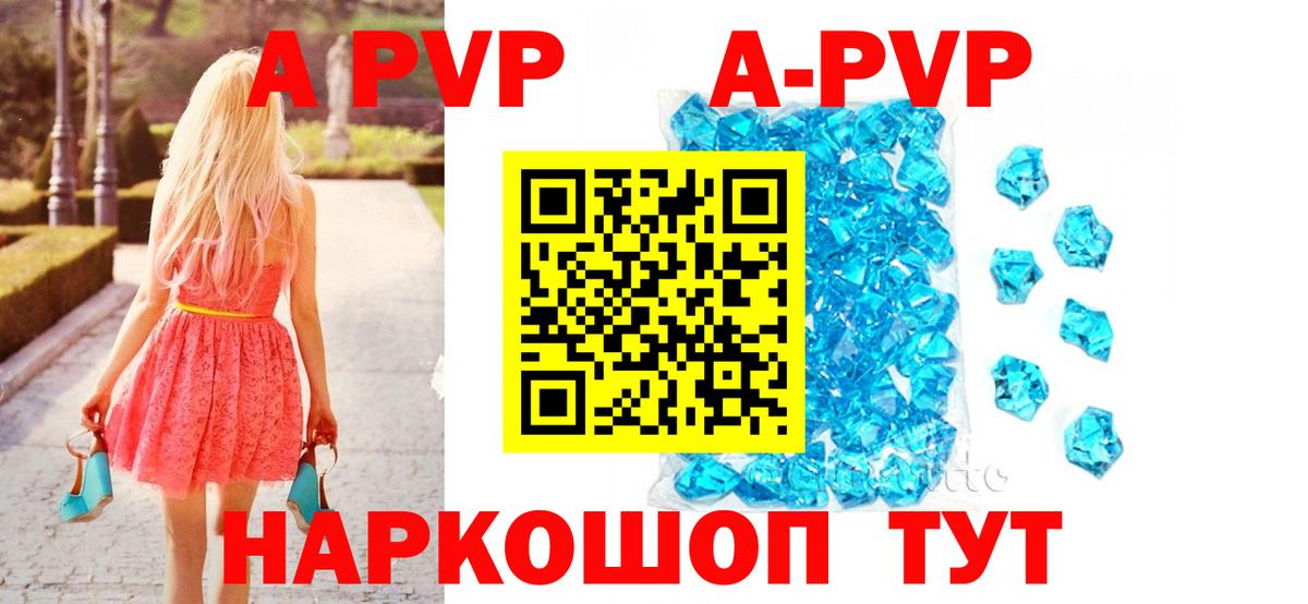 А ПВП СК Владимир