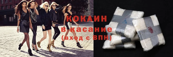 гашик Алексин