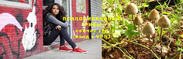а пвп мука Абаза