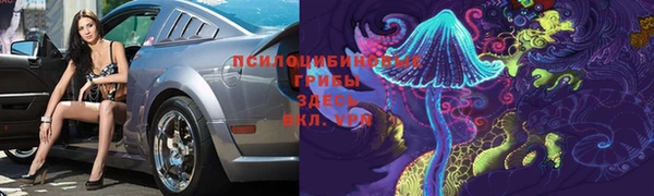 а пвп мука Абаза