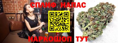 PSILOCYBIN Волгодонск