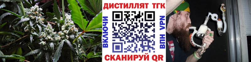 ТГК Wax Владимир