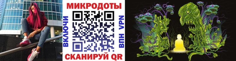 Галлюциногенные грибы Psilocybine cubensis Владимир