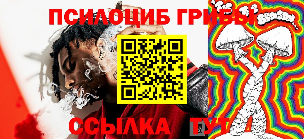 Галлюциногенные грибы Psilocybe  Вход с VPN  купить  цена  Владимир 