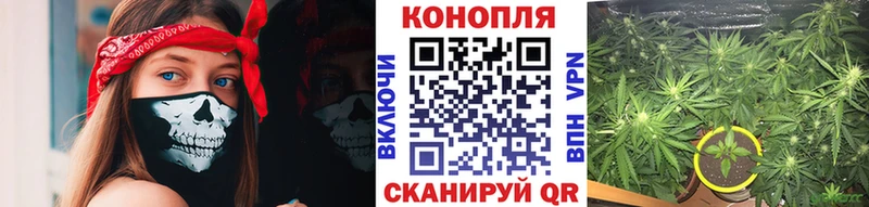 Бошки Шишки ГИДРОПОН  даркнет какой сайт  Владимир 